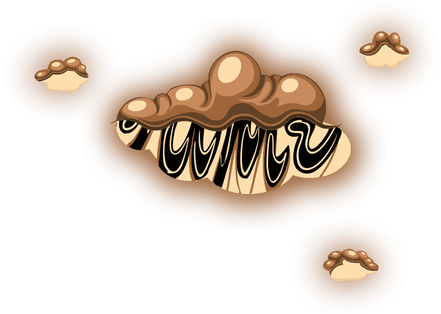Choco Sweat back
