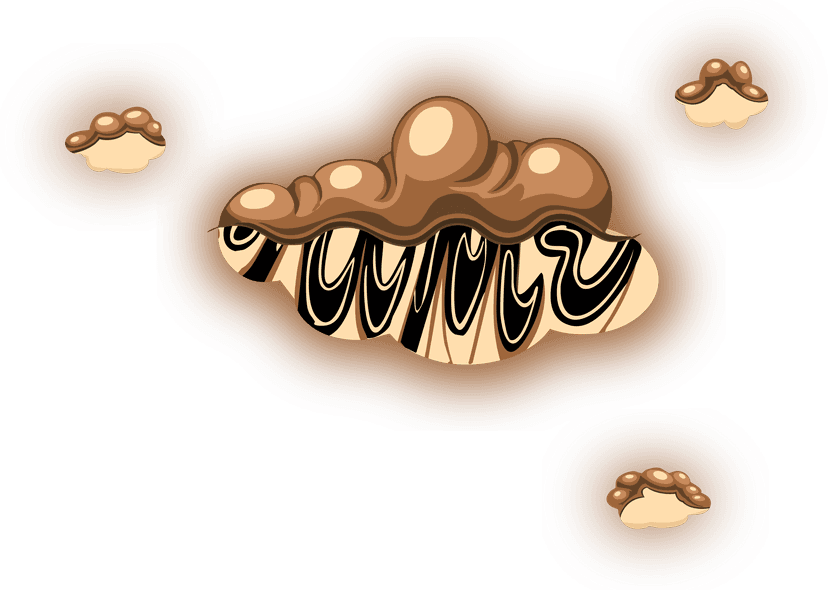 Choco Sweat back